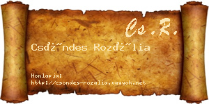 Csöndes Rozália névjegykártya